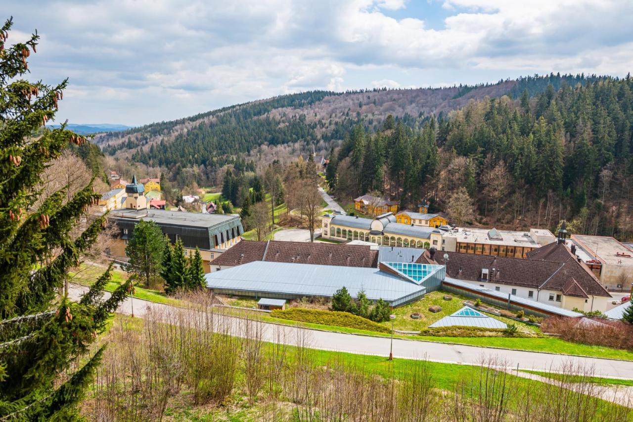 Отель Penzion Zamecek Янське Лазне Экстерьер фото